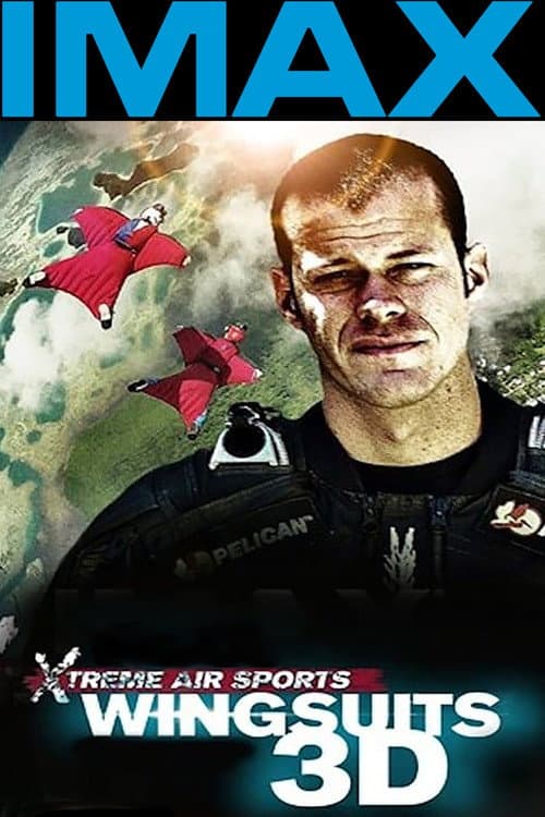 Wingsuit Warrior (2013) poster