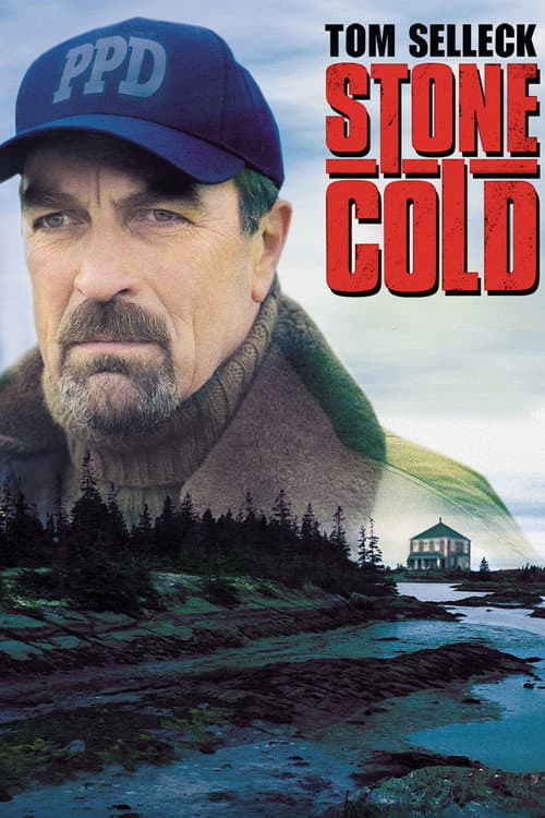 Jesse Stone: Stone Cold (2005) poster