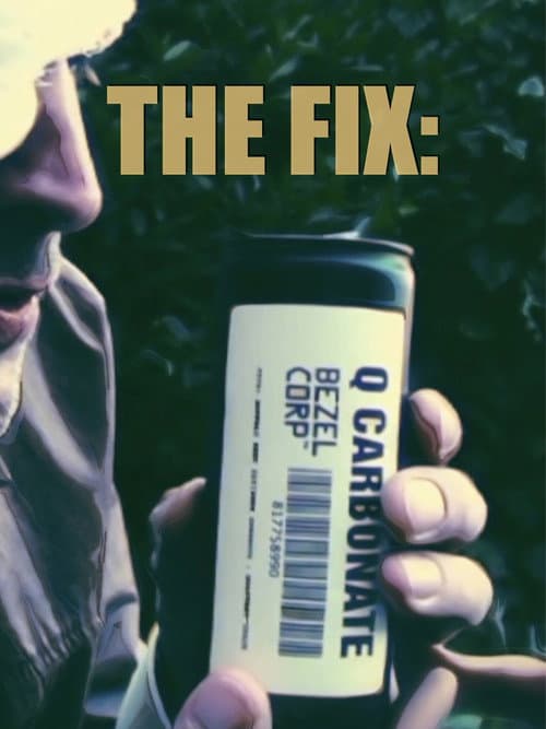 The Fix: (2011) poster