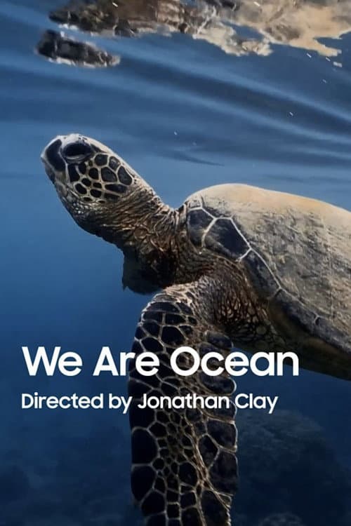 We Are Ocean (2025) poster