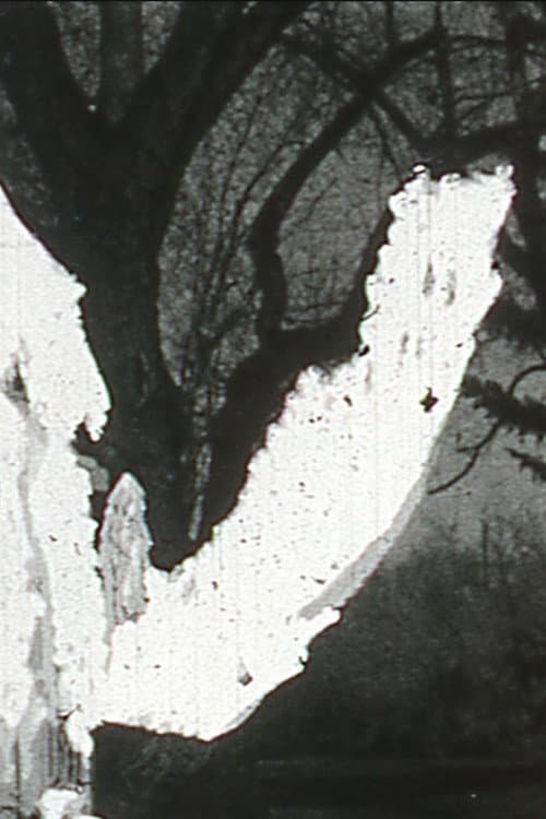 Black Vision (1965) poster