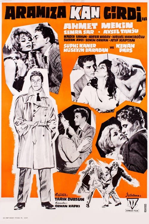 Aramıza Kan Girdi (1962) poster