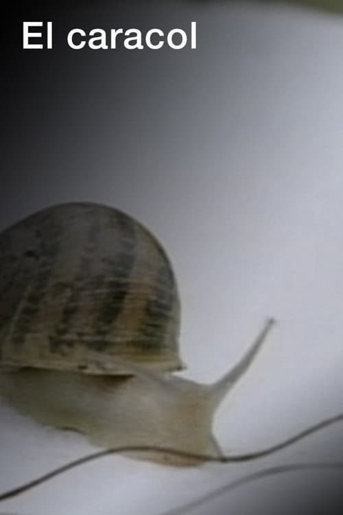 El caracol (2007) poster