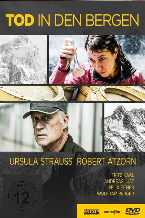 Tod in den Bergen (2013) poster