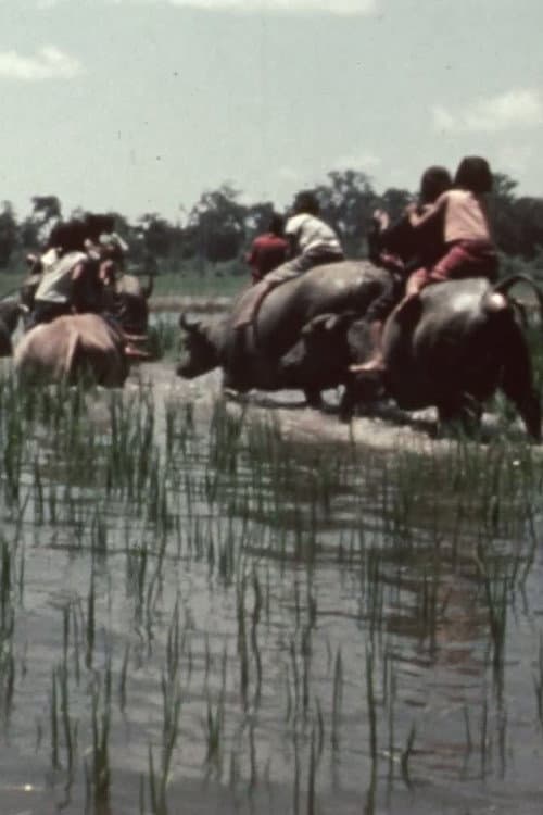 La fête des eaux à Vientiane (1967) poster