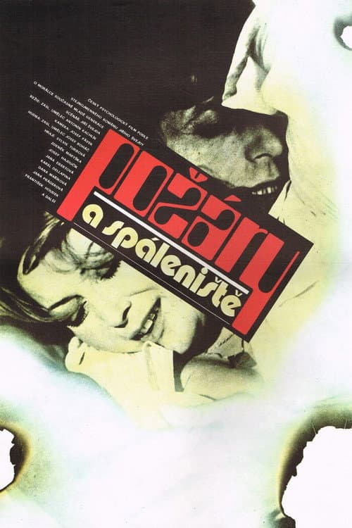 Požáry a spáleniště (1981) poster