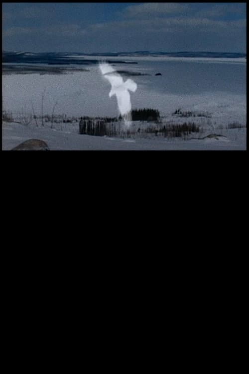 Innu (1994) poster