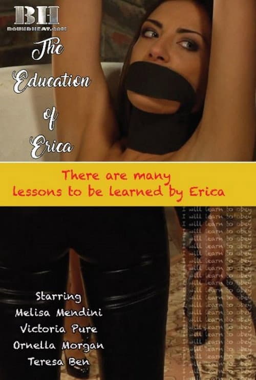 The Education Of Erica (2017) poster