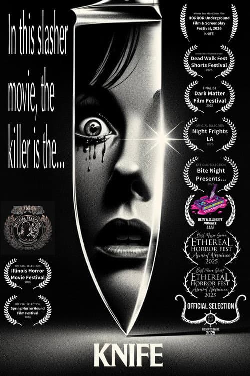 Knife (2024) poster