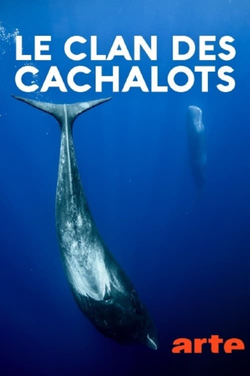 Le clan des cachalots (2019) poster