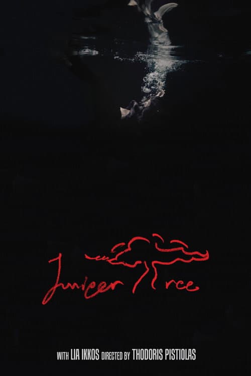 Juniper Tree (2025) poster