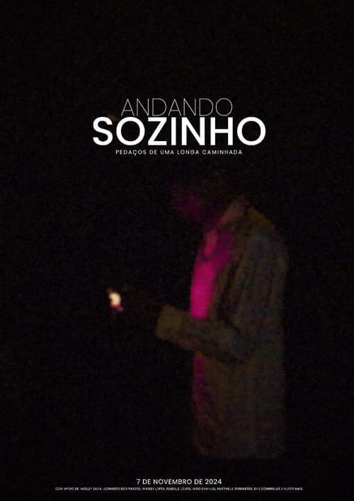 Caminhando Sozinho (2024) poster
