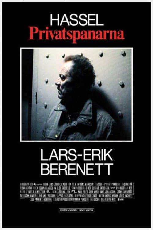 Hassel - Privatspanarna (2012) poster