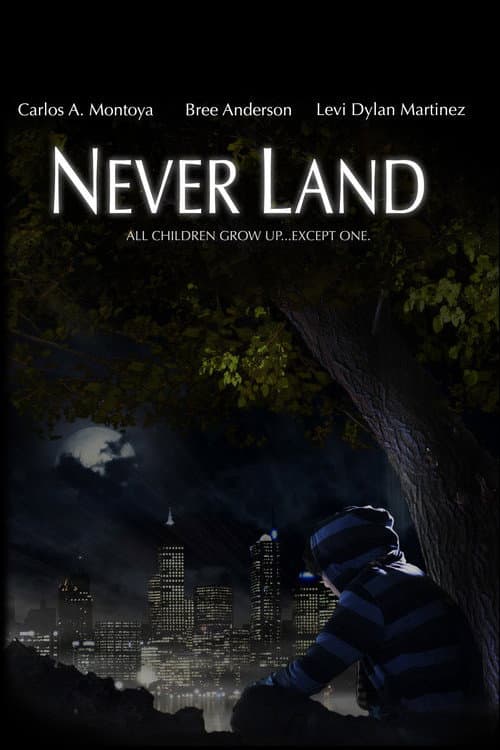 Never Land (2010) poster