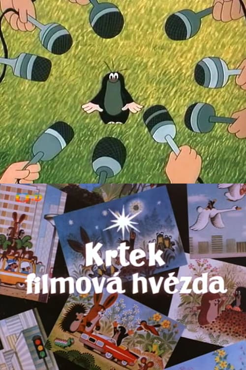Krtek filmová hvězda (1988) poster