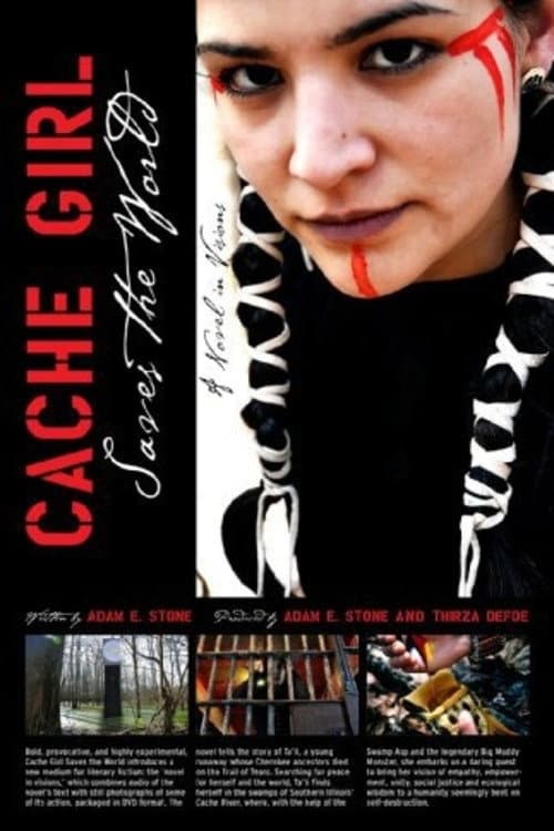 Cache Girl Saves the World: A Novel in Visions (2010) poster