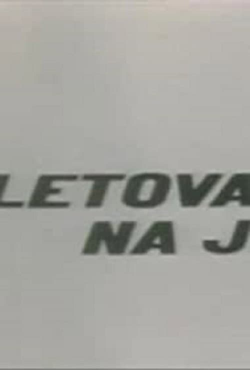 Ljetovanje na jugu (1980) poster