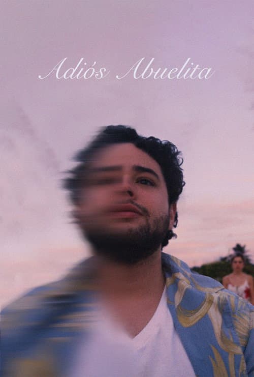 Adiós Abuelita (2024) poster