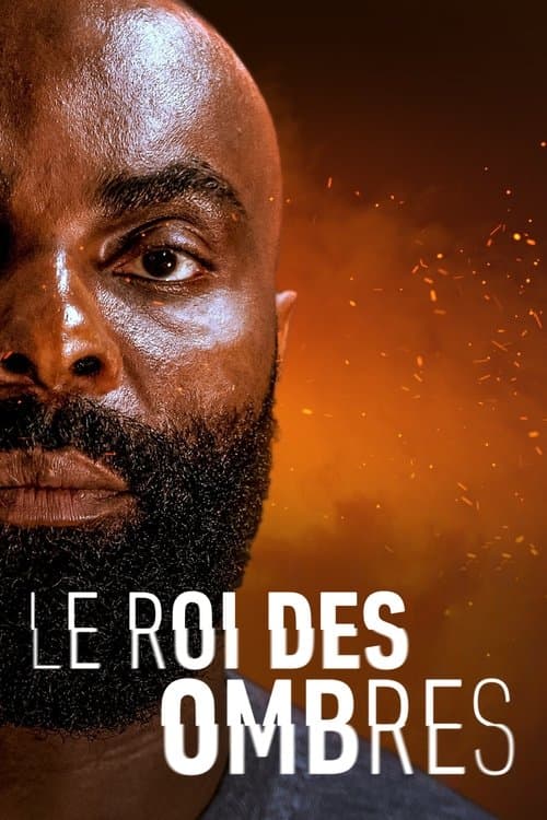Le Roi des Ombres (2023) poster