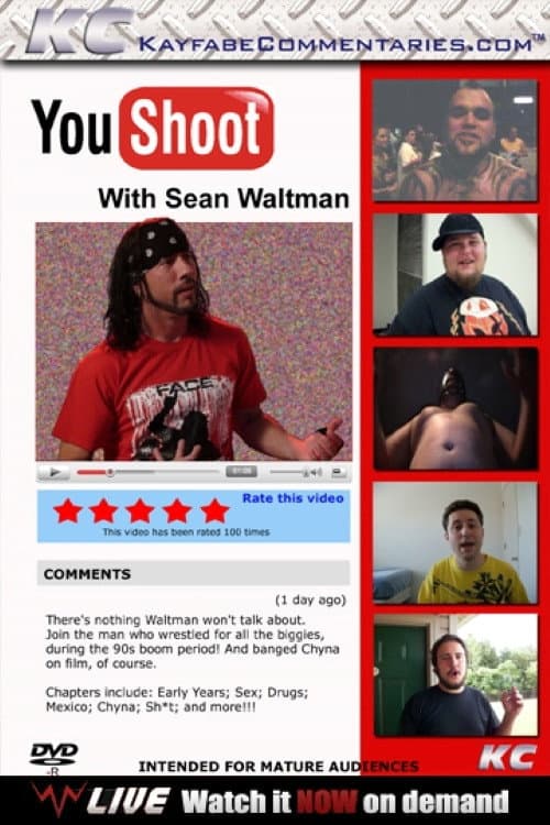 YouShoot: Sean Waltman (2010) poster