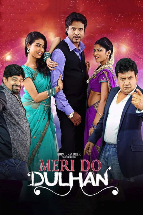 Meri Do Dulhan (2017) poster