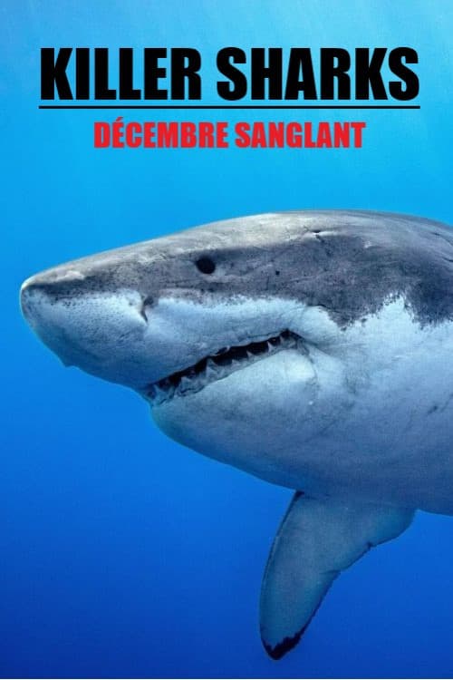Killer Sharks: The Attacks of Black December (2011) poster