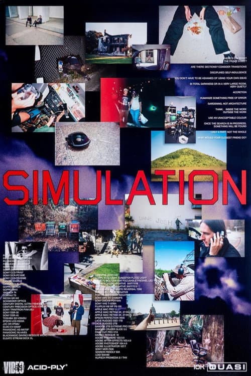 Quasi Skateboards - Simulation (2023) poster