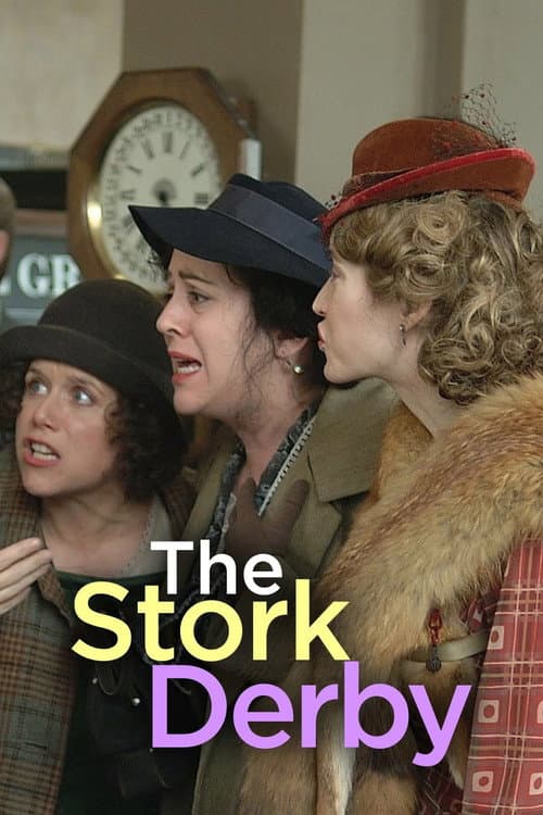 The Stork Derby (2002) poster