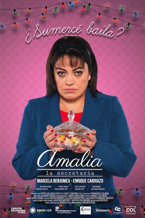 Amalia, la secretaria (2017) poster