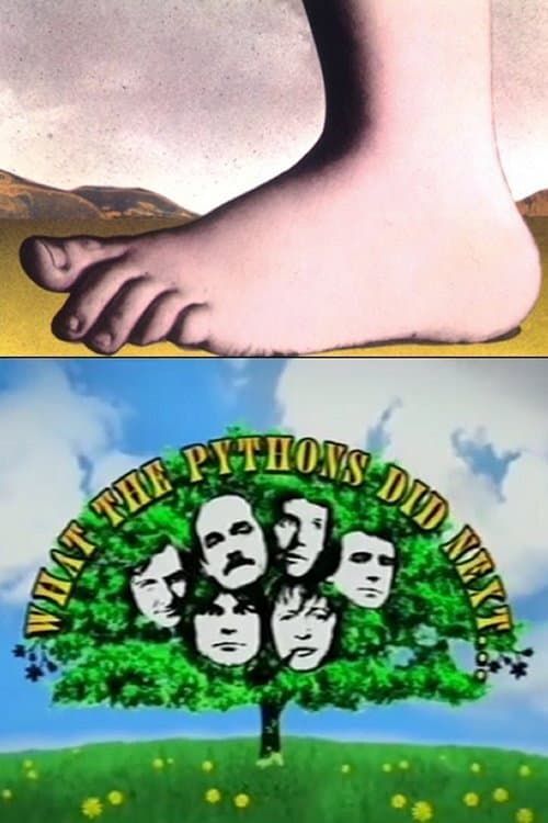 What the Pythons Did Next... (2007) poster