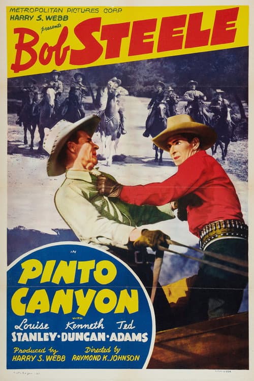 Pinto Canyon (1940) poster