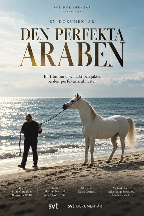 Den perfekta araben (2004) poster