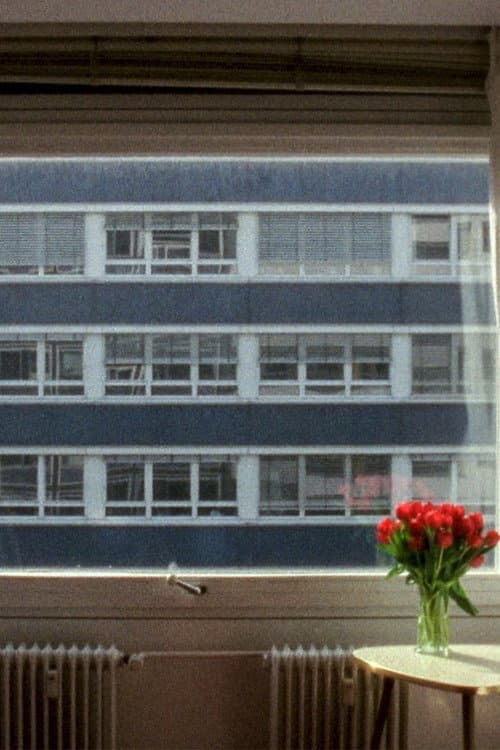 21,3 °C (2014) poster