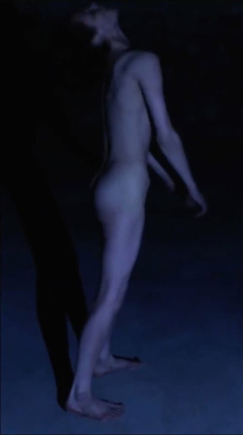The Scream (2019) poster