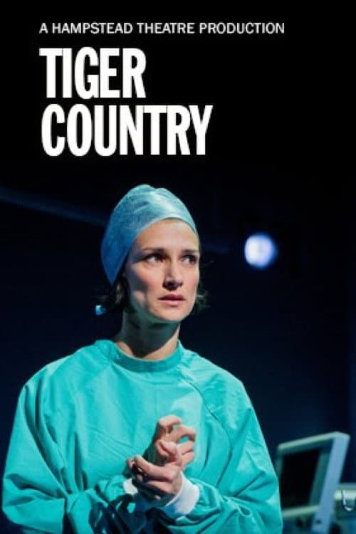 Hampstead Theatre At Home: Tiger Country (2014) poster