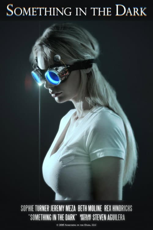 Something in the Dark (2024) poster