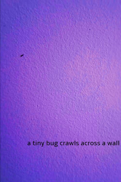 a tiny bug crawls across a wall (2024) poster