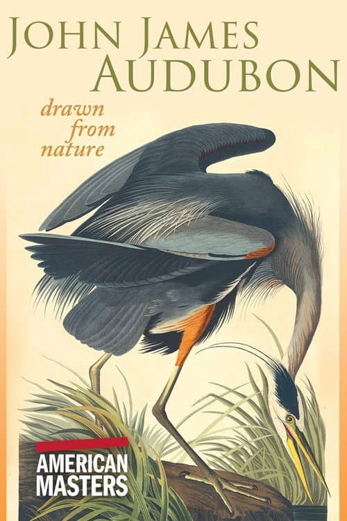 John James Audubon: Drawn from Nature (2007) poster