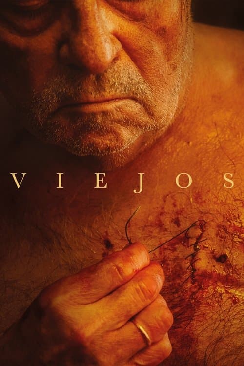 Viejos (2023) poster