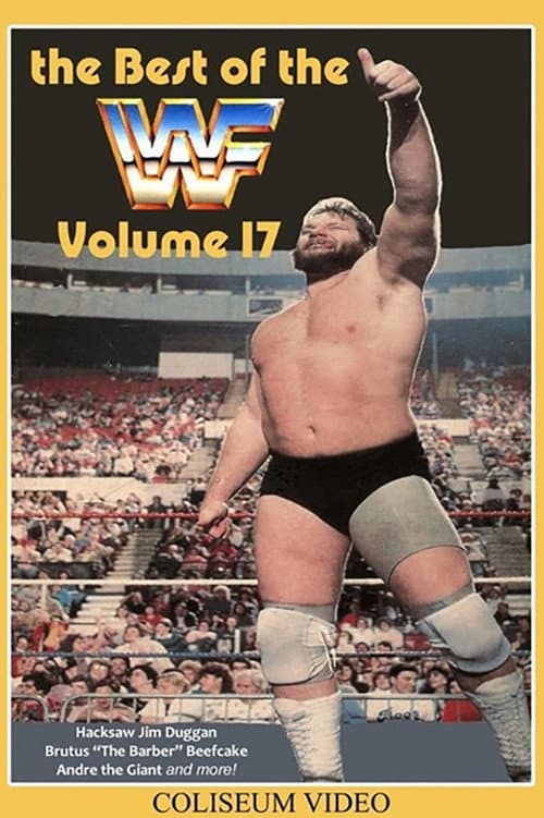The Best of the WWF: volume 17 (1988) poster