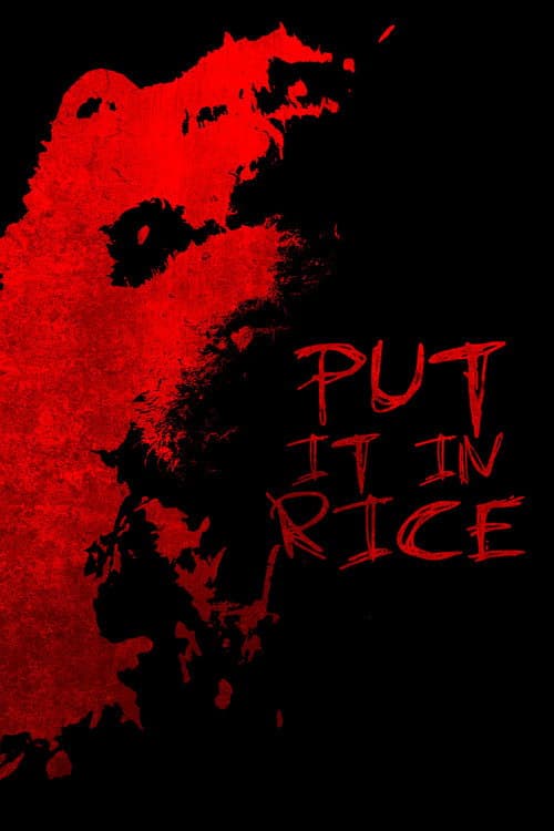 Put It In Rice (2024) poster