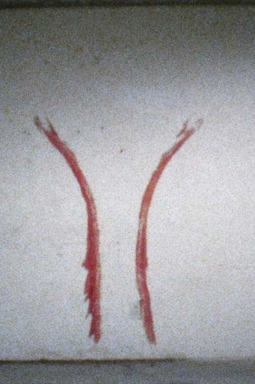 Untitled (Blood Sign #2/Body Tracks) (1974) poster