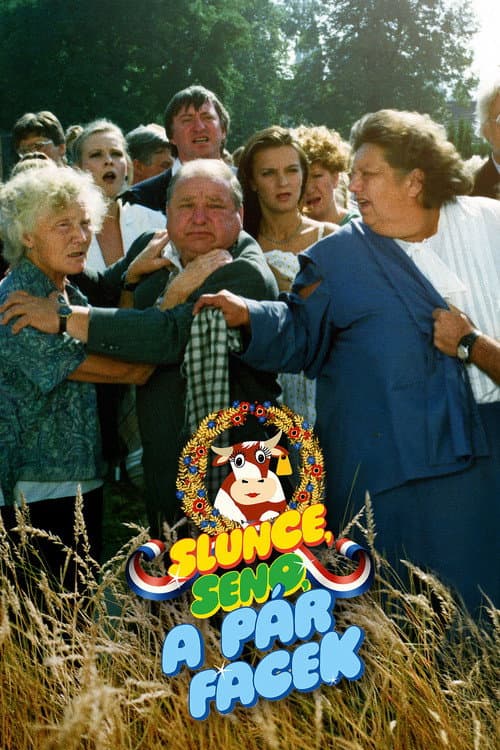 Slunce, seno a pár facek (1989) poster