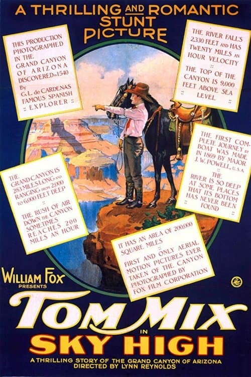 Sky High (1922) poster