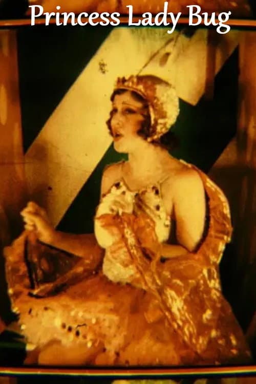 Princess Lady Bug (1930) poster