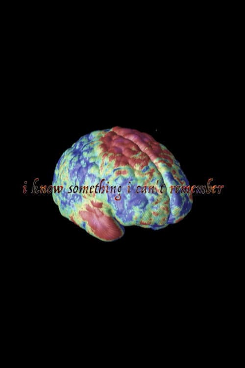 I Know Something I Can't Remember (2016) poster