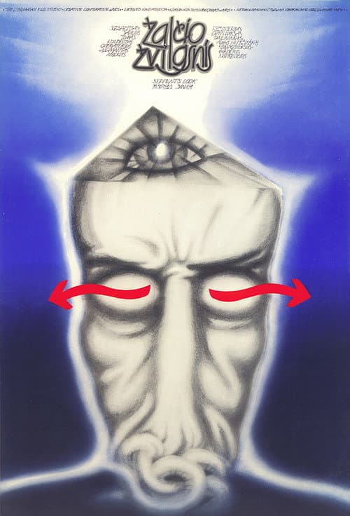 Zalcio zvilgsnis (1990) poster