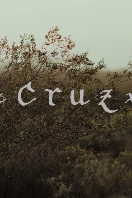 Cruz (2020) poster