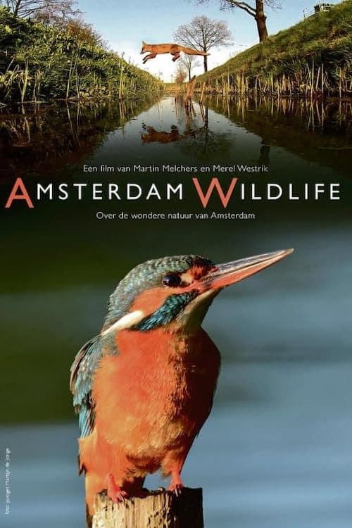 Amsterdam Wildlife (2015) poster