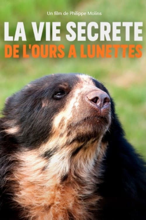 La vie secrète de l’ours à lunettes (2020) poster